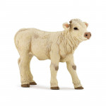 VEAU CHAROLAIS