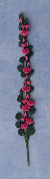 ENSEMBLE GRIMPANT DE ROSES