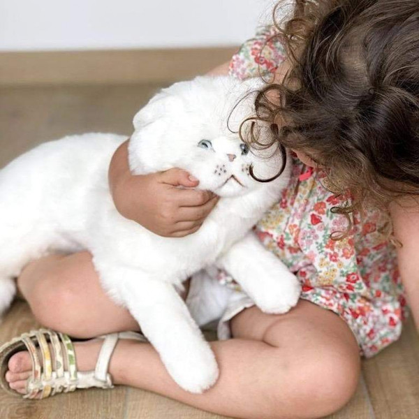 CHAT OSCAR