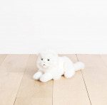 CHAT OSCAR