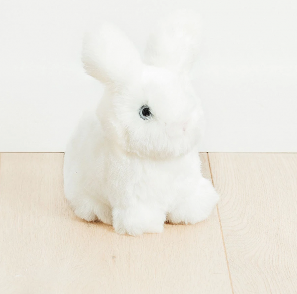 LAPIN LÉON