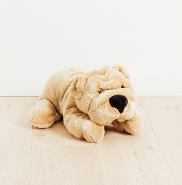 CHIEN HECTOR