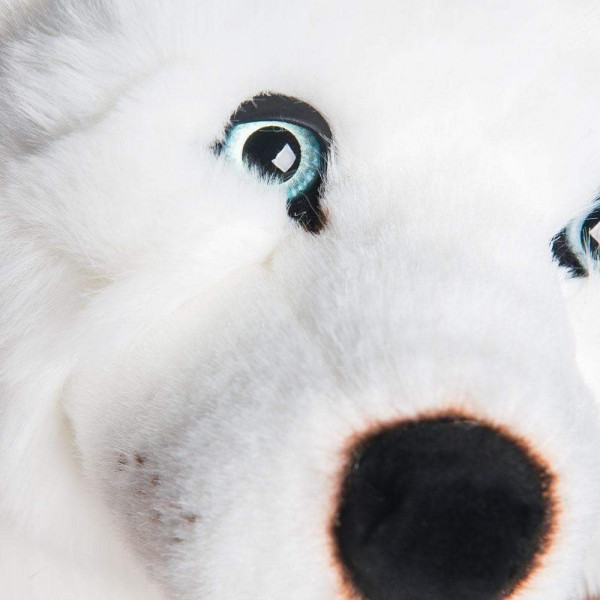 HUSKY LEONARD