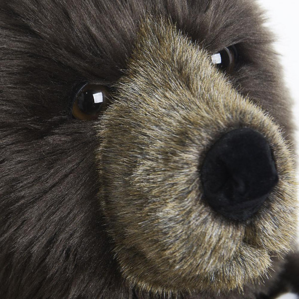 OURS BRUN GABIN