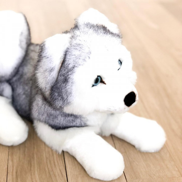 HUSKY LEONARD