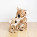 KOALA FELICIEN