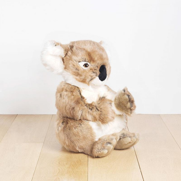 KOALA FELICIEN