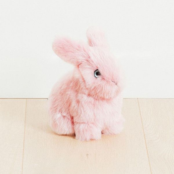 LAPIN LÉON