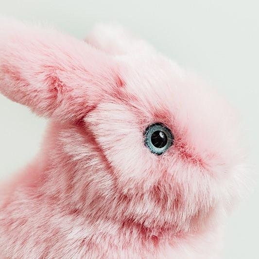 LAPIN LÉON