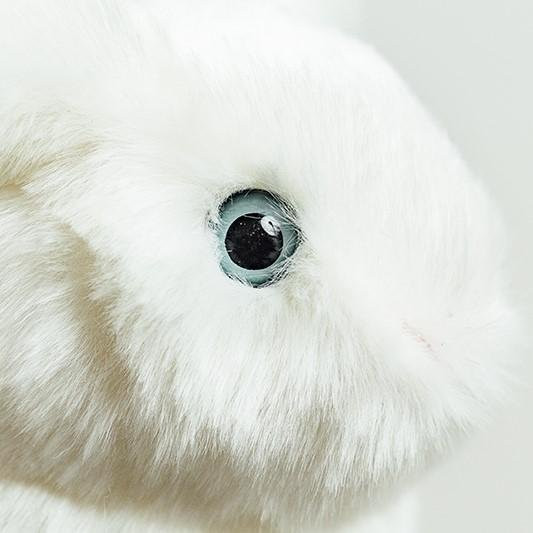 LAPIN LÉON