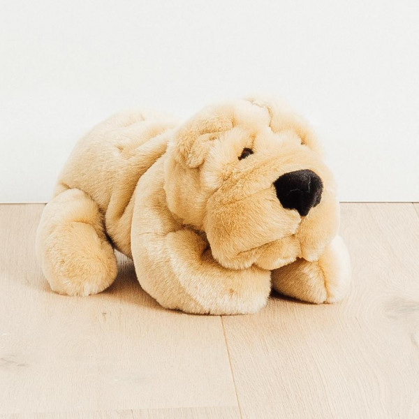 CHIEN HECTOR
