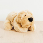 CHIEN HECTOR