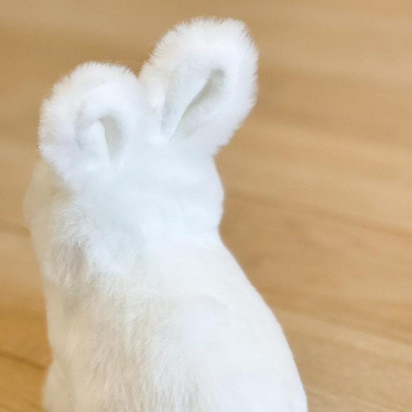 LAPIN LÉON