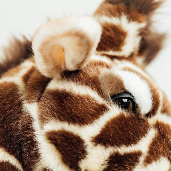 GIRAFE ZOÉ