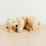 OURS LUCIEN
