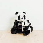 PANDA SAM