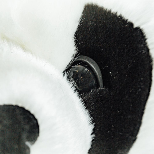 PANDA SAM