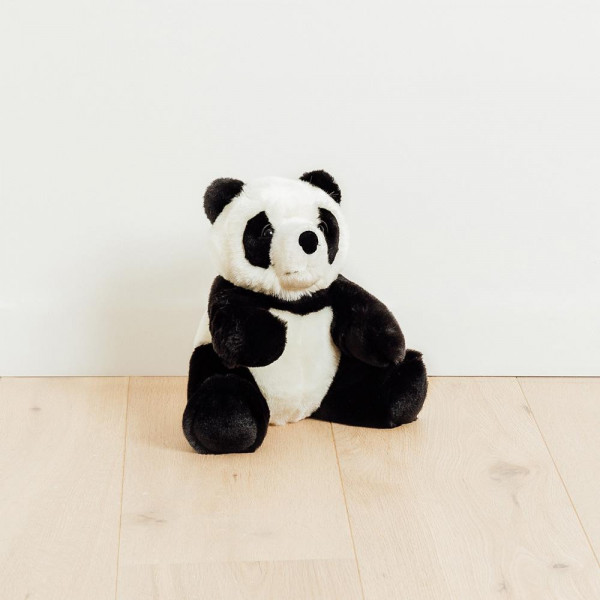 PANDA SAM