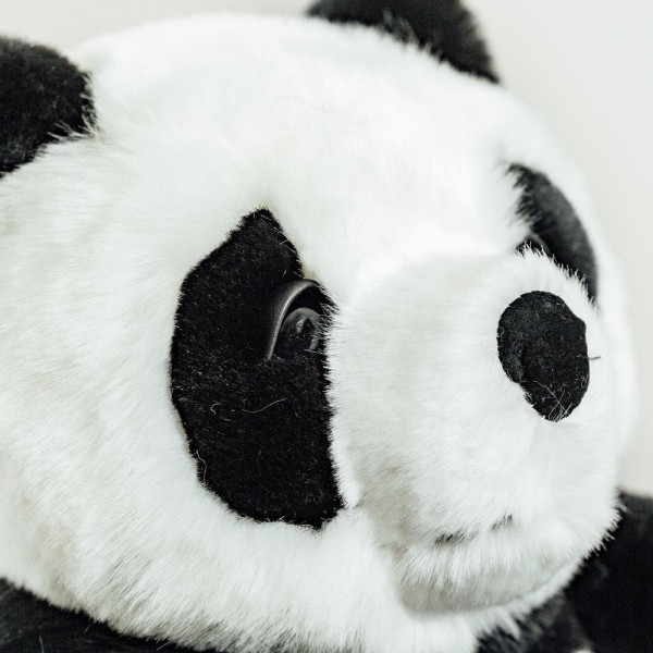PANDA SAM