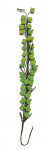 Fleurs ou Feuilles_Tiges seules