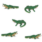 PETIT ALLIGATOR