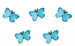 MINI PAPILLON