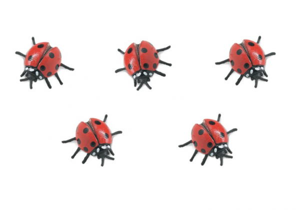 MINI COCCINELLE