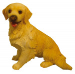 CHIEN GOLDEN (RETRIEVER)