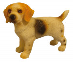PETIT CHIEN BEAGLE
