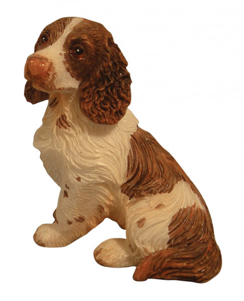 CHIEN ASSIS SPANIEL