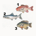 POISSONS 2