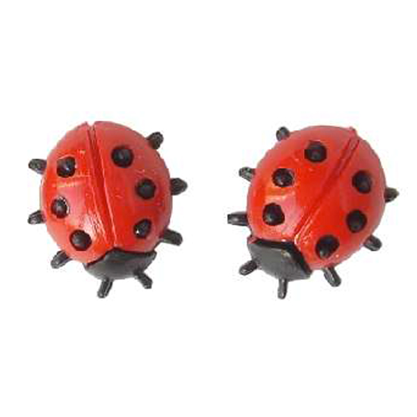 2 PETITES COCCINELLES