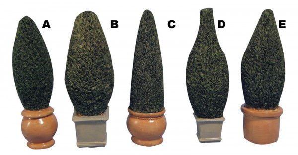 BUISSON (RESINE)