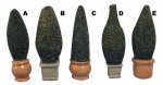 BUISSON (RESINE)