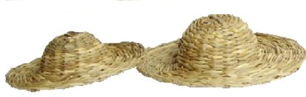 CHAPEAU DE PAILLE