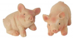 PETIT COCHON