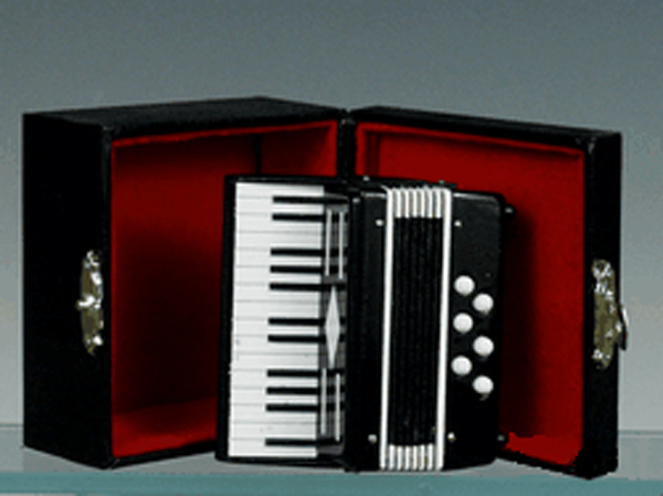 ACCORDEON AVEC ETUI