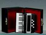 ACCORDEON AVEC ETUI