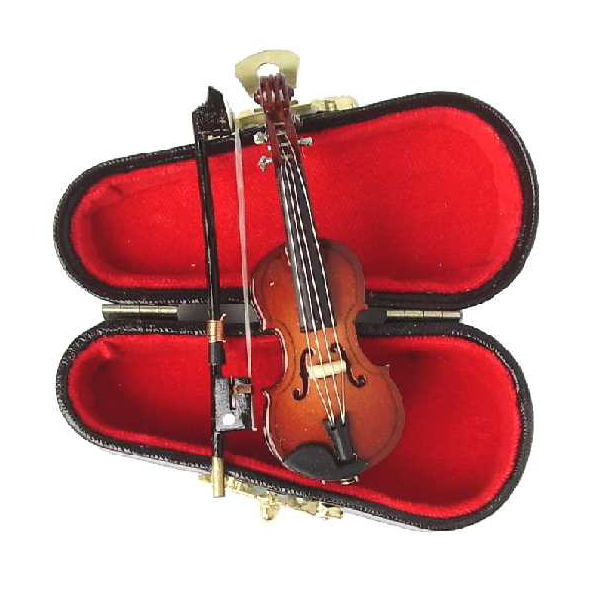 VIOLON AVEC ETUI