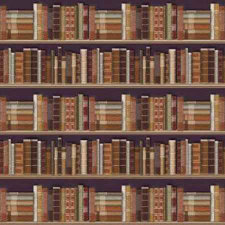 DECOR FOND DE BIBLIOTHEQUE (P116)