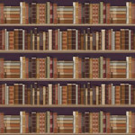 DECOR FOND DE BIBLIOTHEQUE (P116)