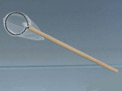 EPUISETTE