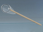 EPUISETTE