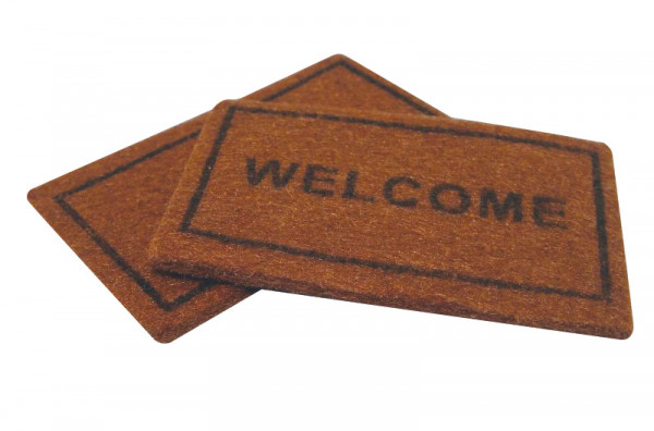 2 TAPIS D'ENTREE