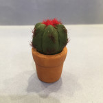 PETIT CACTUS FLEUR ROUGE