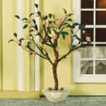 ARBRE ROSIER