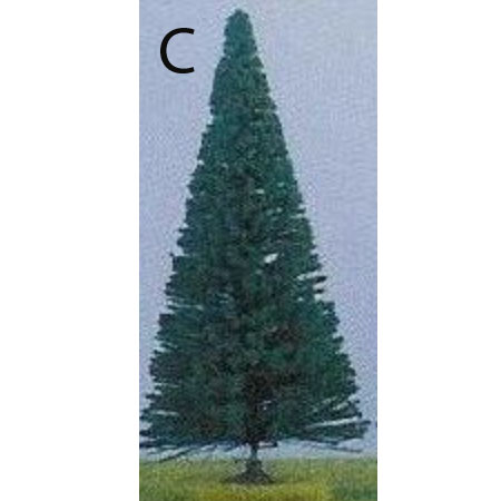 SAPIN SUR PIED (12,16 ou 20cm)