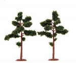 2 ARBRES TYPE PIN