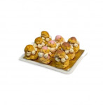 PLATEAU RELIGIEUSES