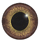 YEUX EN VERRE - TOPAZ MARRON IRIS